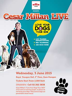 Cesar Millan LIVE - Love Your Dogs Tour presented by VetzPetz