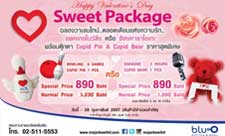 Happy Valentines Day Sweet Package