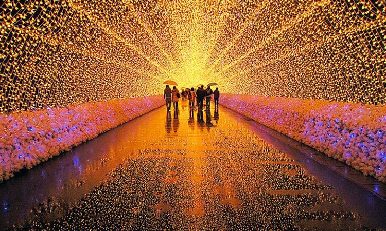 Image result for à¹à¸à¸¨à¸à¸²à¸¥à¹à¸ Naba nano sato