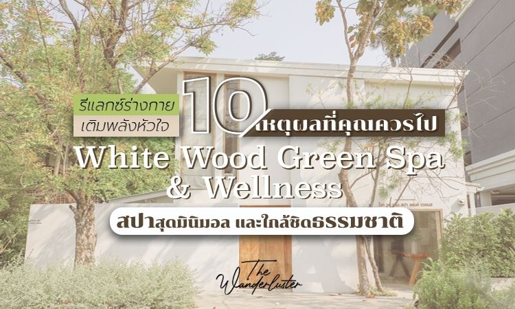 10 เหตุผลทีคุณควรไป White Wood Green Spa & Wellness สปาสุดมินิมอล