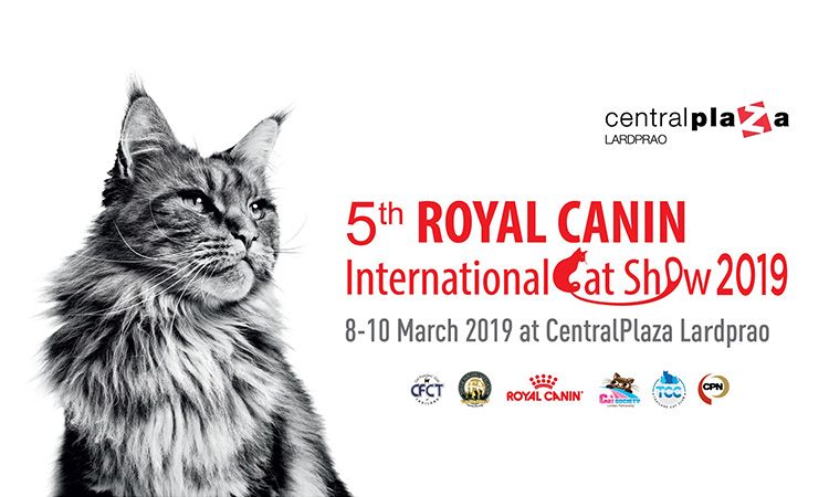 5th Royal Canin International Cat Show 2019 งานที่คนรักแมวห้ามพลาด!