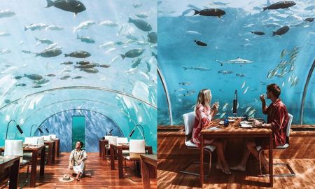 ITHAA Undersea Restaurant ร้านอาหารใต้น้ำแห่งแรกของโลก ที่มัลดีฟส์