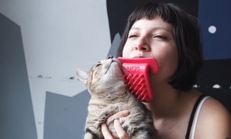 LICKI Brush ลิ้นแมวปลอม อุปกรณ์ช่วยสร้างความสัมพันธ์ระหว่างมนุษย์กับแมว