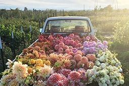 สุดยอดงานน่าทำ คนขายดอกไม้ ใช้ชีวิตท่ามกลางสีสัน นี่แหละโลกสวยที่แท้จริง!!!