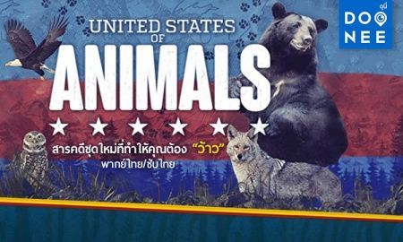 United States of Animals สารคดีชุดใหม่ที่ทำให้คุณต้อง ว้าว