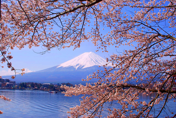 7 สุดยอดที่เที่ยวชม “ดอกซากุระบาน” ที่ประเทศญี่ปุ่น ประจำปี 2015