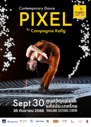 PIXEL by Compagnie Kafig