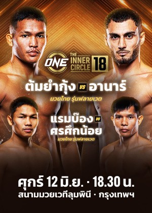ONE LUMPINEE