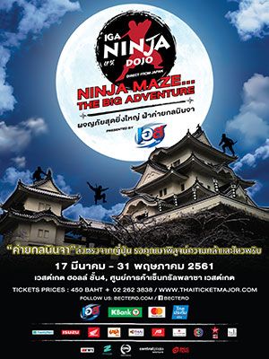 NINJA MAZE…THE BIG ADVENTURE