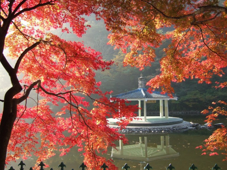 ตามหาใบไม้เปลี่ยนสี เกาหลี ที่ ซอรัคซาน อุทยานสี่ฤดู