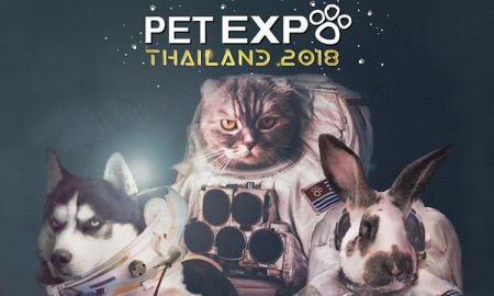 มนุษย์โลกเตรียมตัวให้พร้อม พบกับจักรวาลของคนรักสัตว์ ในงาน "Pet Expo Thailand 2018"