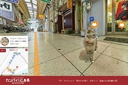 ฮิโรชิม่าออกแผนที่ท่องเที่ยวในมุมมอง Cats Eye view สำรวจซอกซอยในแบบเหมียว