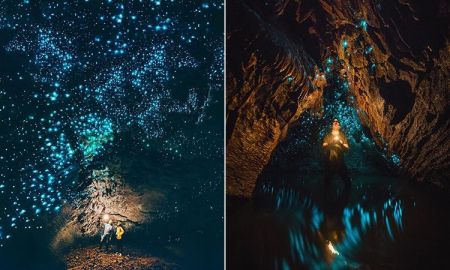 Waitomo Glowworm Caves ถ้ำหนอนเรืองแสง ที่นิวซีแลนด์